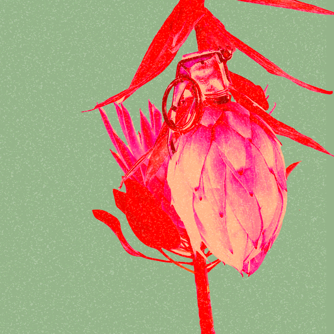 <br>Exílio Em Manaus<br><br> 